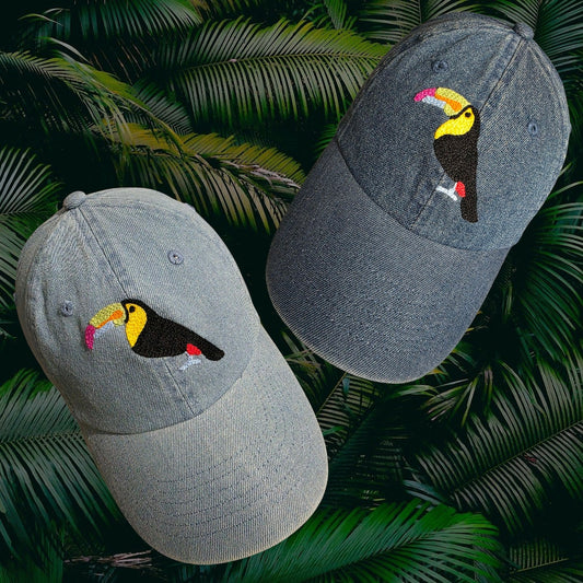 Rainbow Toucan Caps