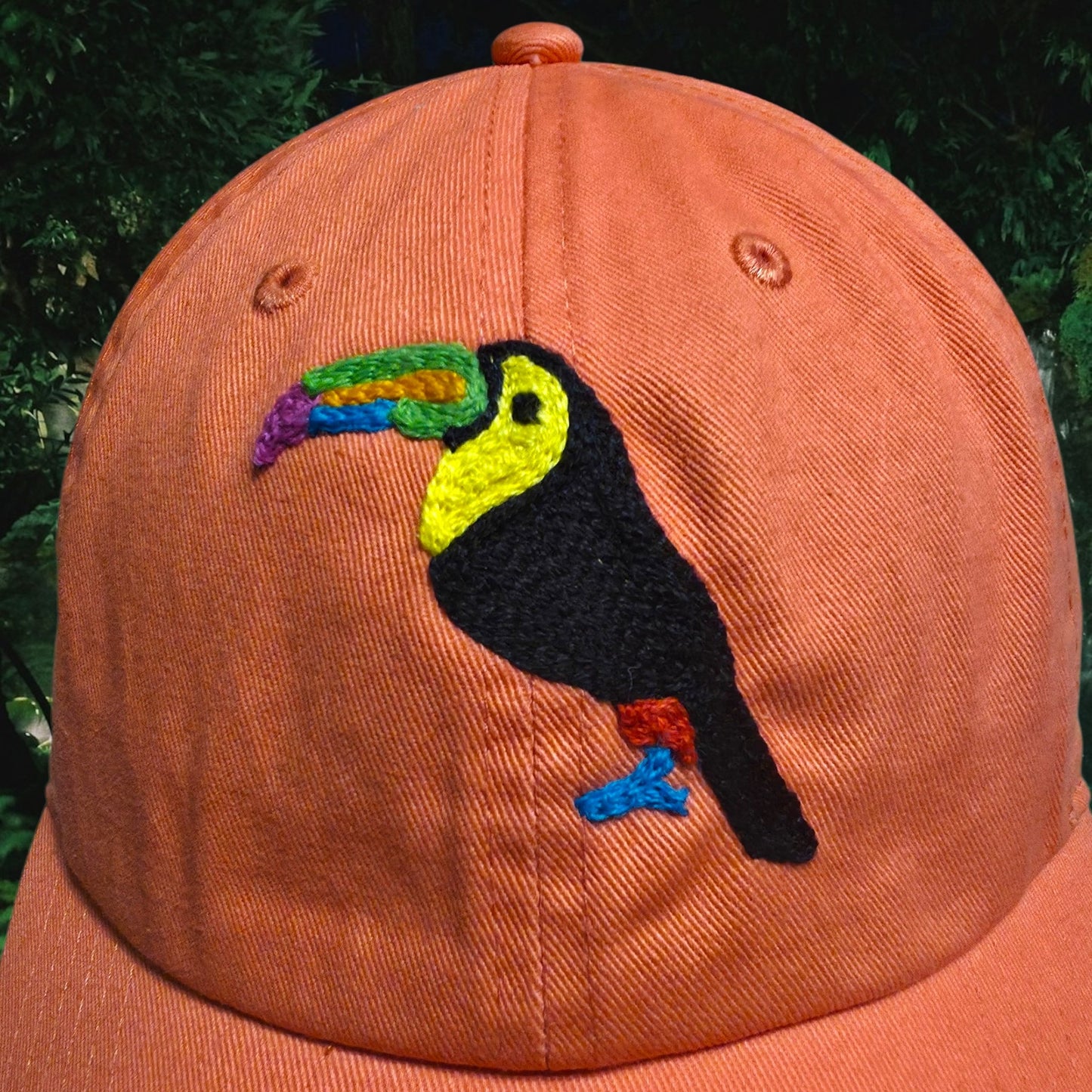 Rainbow Toucan Caps 2.0